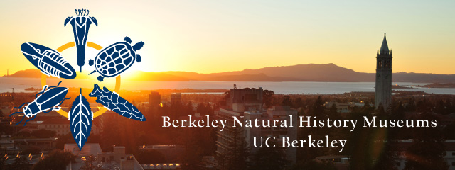 banner_sunset_edited